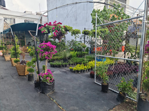 Vivero Zone Garden
