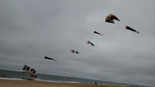 Water Park «Midway Speedway Park», reviews and photos, 18645 Coastal Hwy, Rehoboth Beach, DE 19971, USA