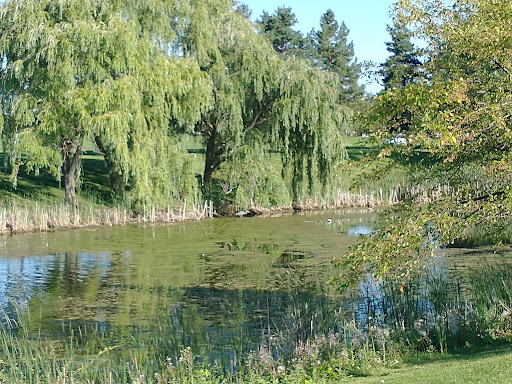 Casino «Soaring Eagle Casino & Resort», reviews and photos, 6800 Soaring Eagle Blvd, Mt Pleasant, MI 48858, USA