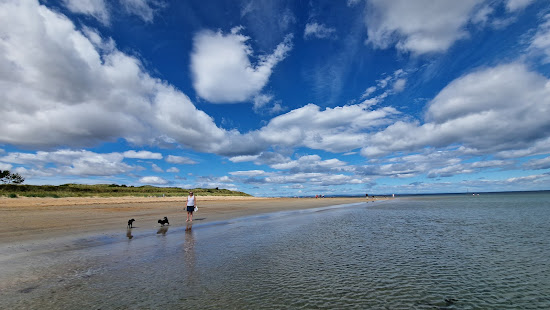 Kingsbarns Beach