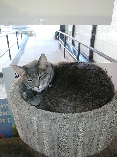 Healthy Pet, 5881 Kanan Rd, Agoura Hills, CA 91301, USA, 