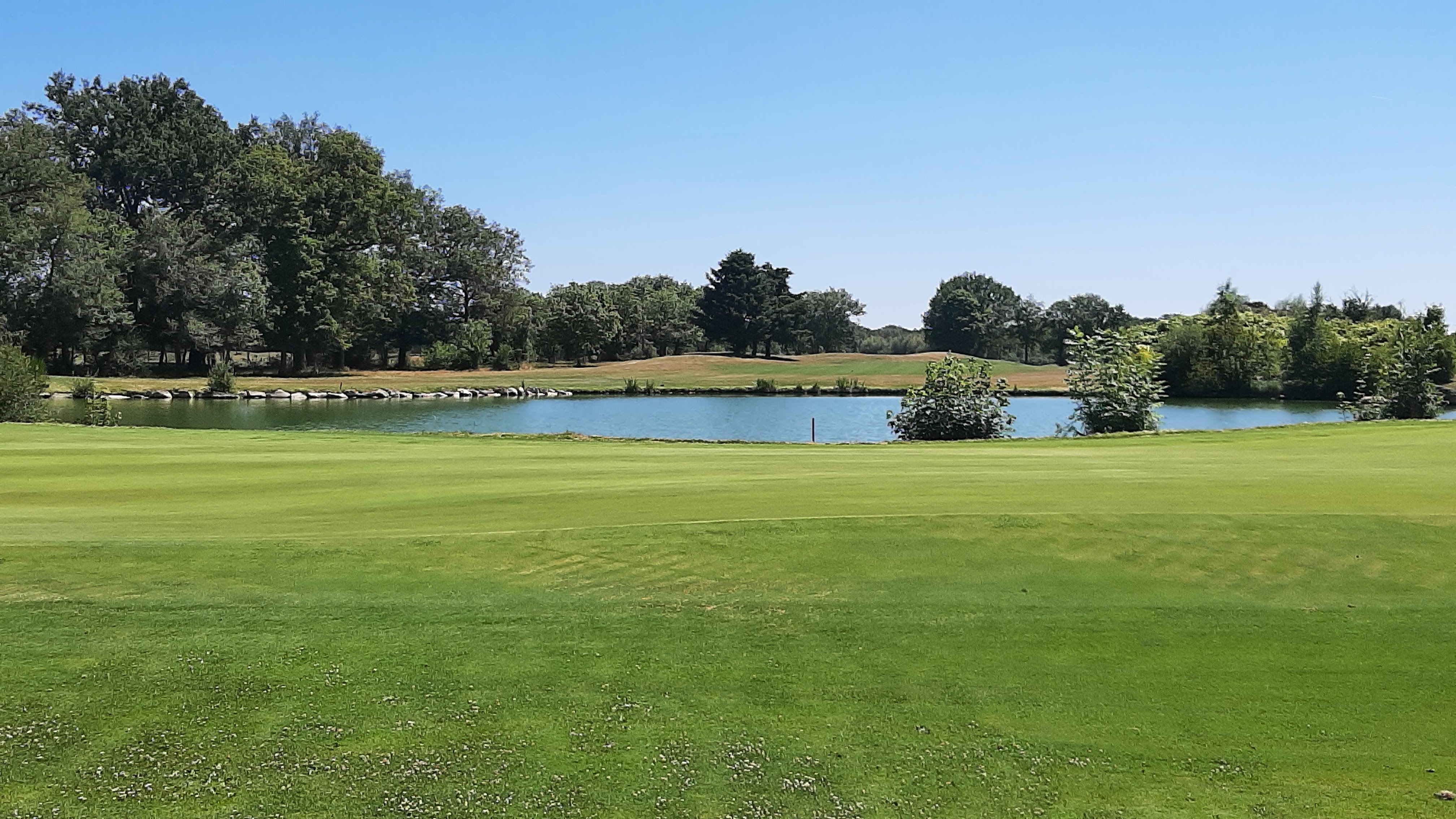 Photo n° 6 de l'avis de Michel.a fait le 08/07/2022 à 07:37