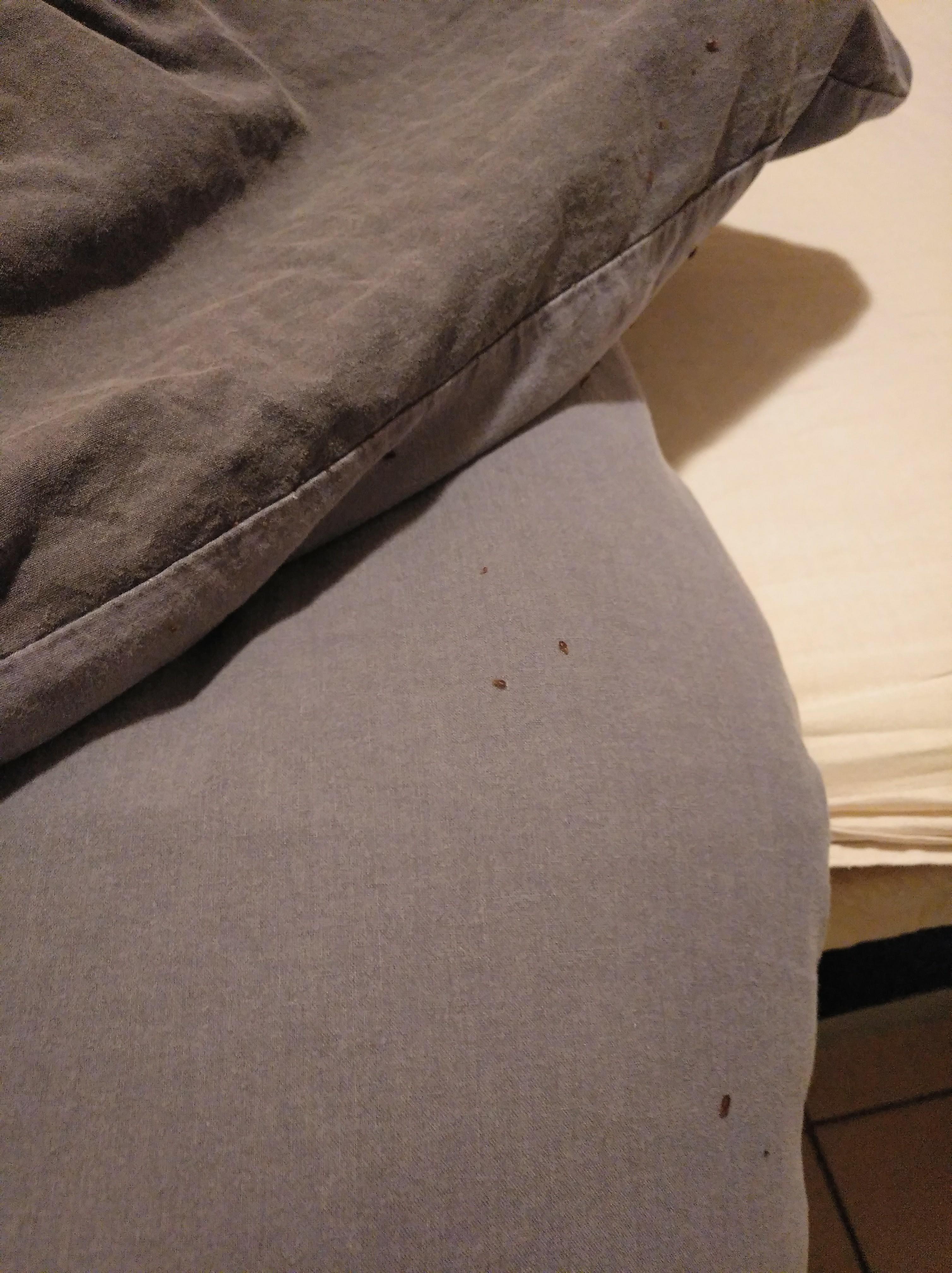 Photo n° 3 de l'avis de Erica.o fait le 24/08/2018 à 12:52