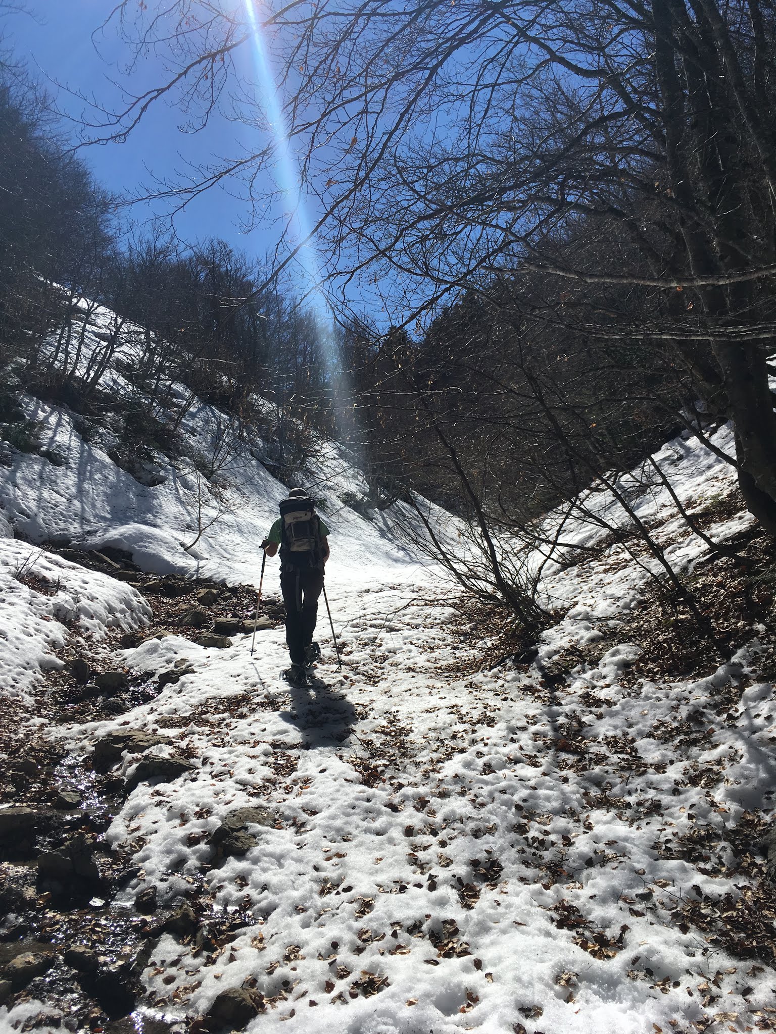 Photo n° 1 de l'avis de Gaelle. fait le 19/03/2019 à 21:18