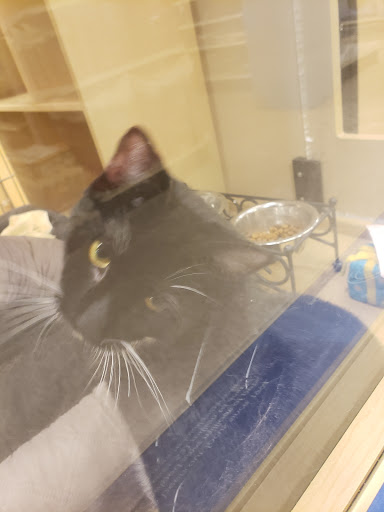 Pet Supply Store «PetSmart», reviews and photos, 28533 Marlboro Ave, Easton, MD 21601, USA