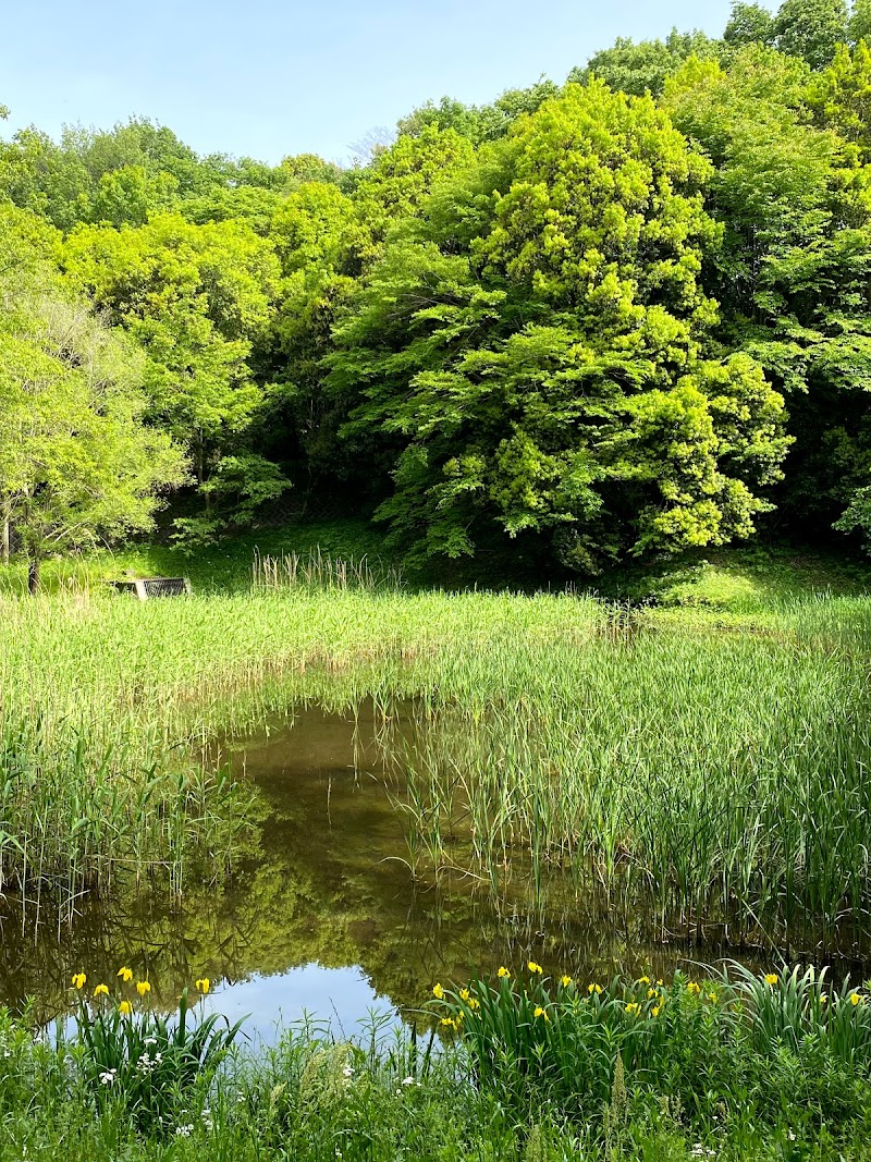 野津田公園湿生植物園