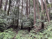 寺前城（持前城）跡