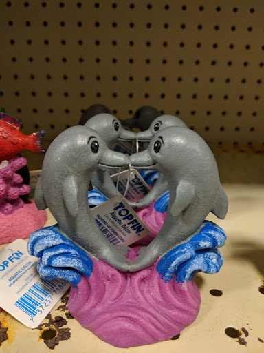 Pet Supply Store «PetSmart», reviews and photos, 5160 US-70, Morehead City, NC 28557, USA