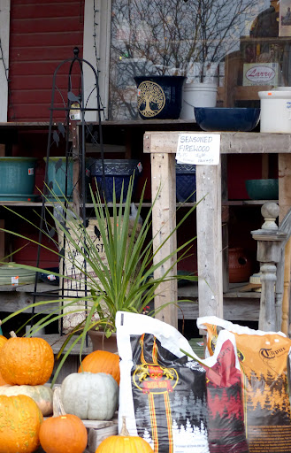 Pet Supply Store «Chelsea Farmers Supply», reviews and photos, 122 Jackson St, Chelsea, MI 48118, USA