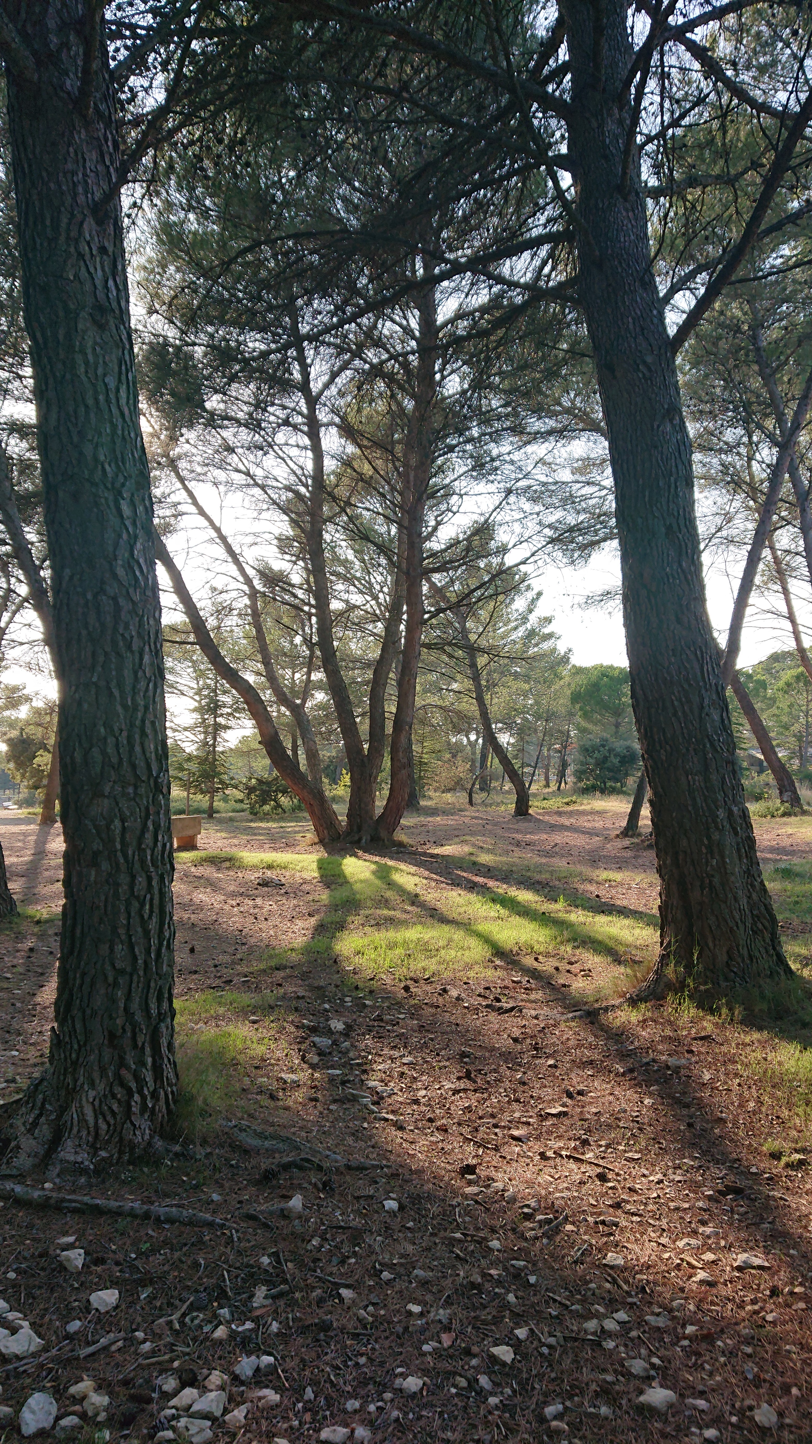 Photo n° 13 de l'avis de Pascal.S fait le 01/10/2019 à 15:21