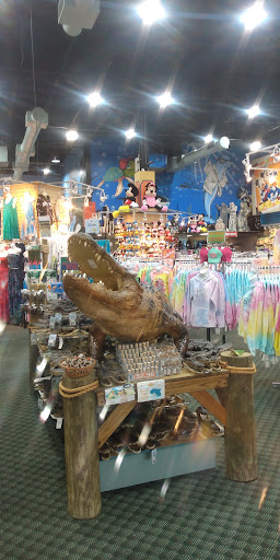 Gift Shop «Bargain World», reviews and photos, 12236 S Apopka Vineland # 200, Orlando, FL 32836, USA