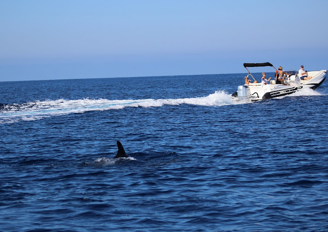 Comentarii opinii despre Location 2000