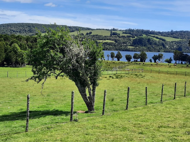 Natri rural km 1227.600, Chonchi, Los Lagos, Chile