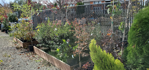 Hardware Store «Lakewood Hardware & Paint, Inc», reviews and photos, 9020 Lakewood Dr SW, Lakewood, WA 98499, USA