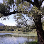 Photo n°1 de l'avis de Günter.c fait le 10/09/2020 à 16:54 sur le  Ristorante Pizzeria Laghetto à Carlazzo