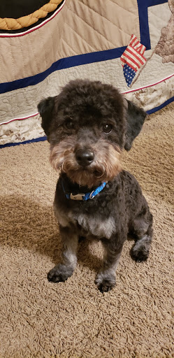 Pet Supply Store «PetSmart», reviews and photos, 2801 Pine Lake Rd, Lincoln, NE 68516, USA