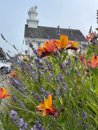 Supermarket «Harvest Market», reviews and photos, 10501 Lansing St, Mendocino, CA 95460, USA