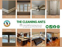 The Cleaning Ants - Photo 5 - Car repair in , Chicago