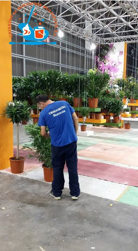 CRISXIMVAL SERVICIOS,SL en Playa Puebla de Farnals, Valencia