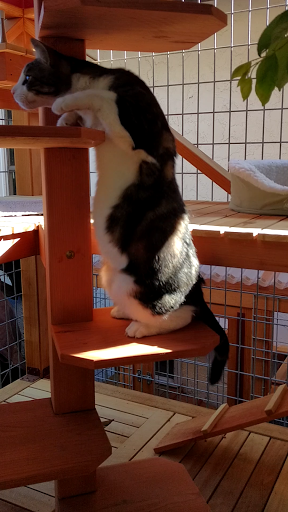 Pet Store «Pet Pals Discount Pet Foods & Supplies», reviews and photos, 3660 Soquel Dr, Soquel, CA 95073, USA