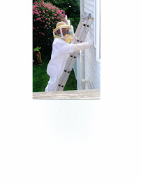 Quality Pest Control Since 1995 - Photo 7 - Car repair in , Boston