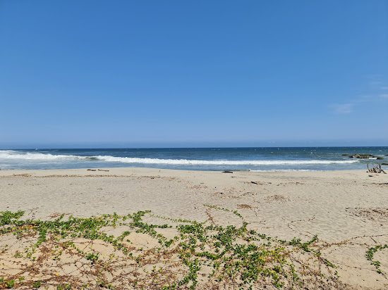 Bocana beach