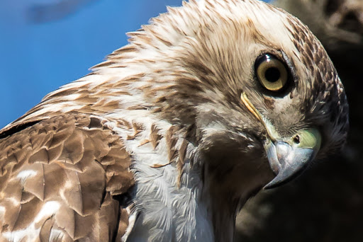 State Park «Valley Stream State Park», reviews and photos, Valley Stream State Park Rd, Valley Stream, NY 11580, USA