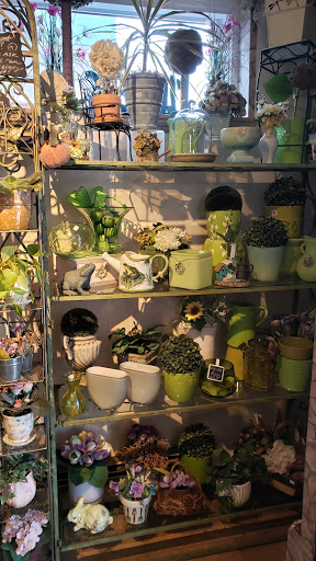 Florist «Carrolls Florist of Beverly», reviews and photos, 385 Cabot St, Beverly, MA 01915, USA