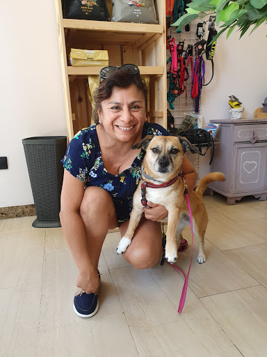 Azahar Clínica Veterinaria en Alcorcón