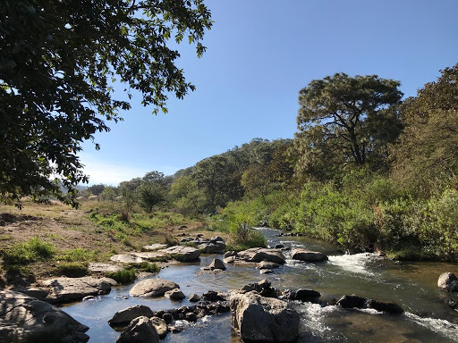 Bosque De La Primavera Río Salado