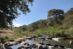 Bosque De La Primavera Río Salado image