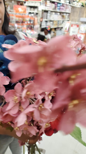 Craft Store «Michaels», reviews and photos, 1310 Gateway Blvd, Fairfield, CA 94533, USA