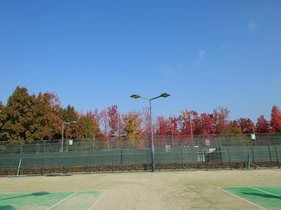 岡山県総合グラウンド南テニスコート