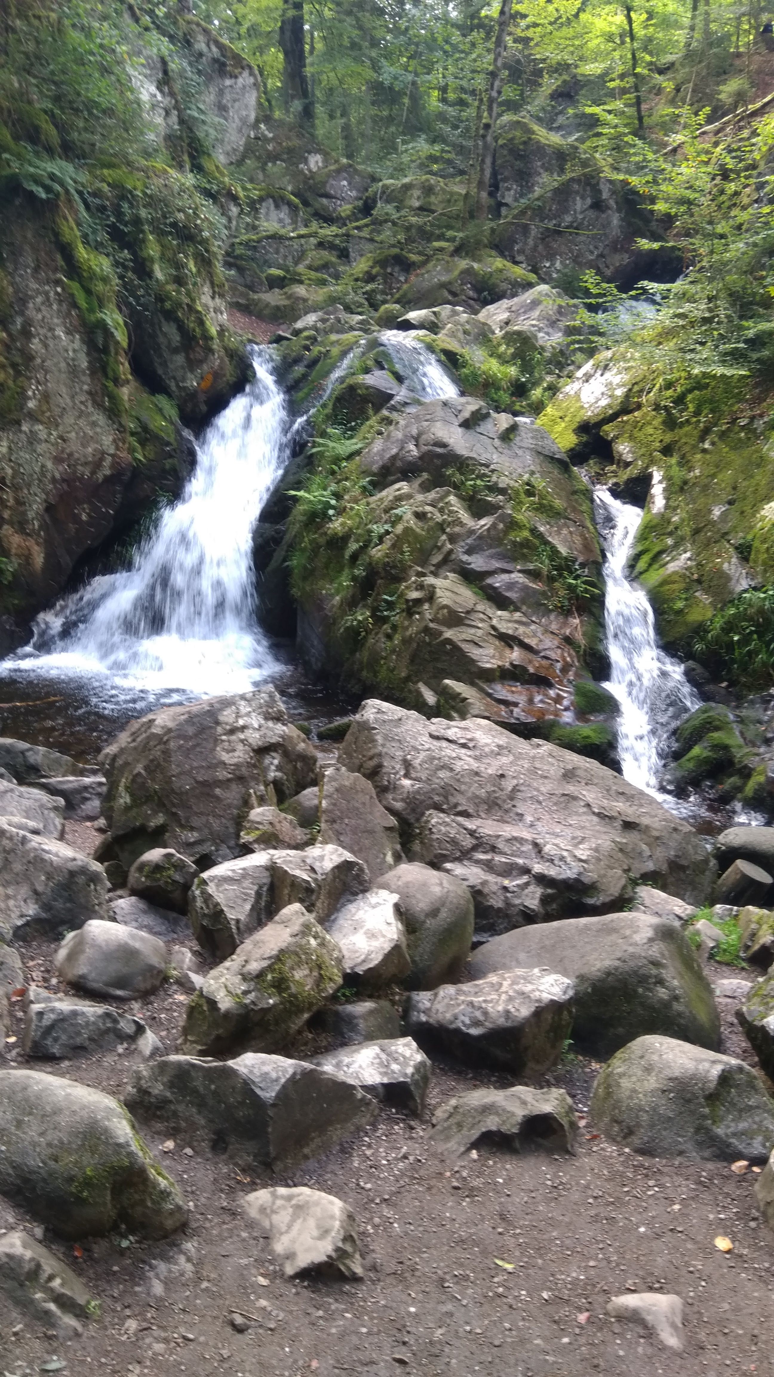 Photo n° 3 de l'avis de Stéphane.e fait le 26/07/2022 à 18:06