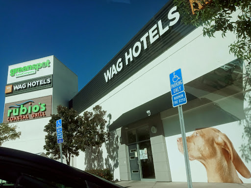 Wag Hotels