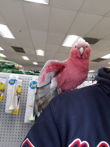 Pet Store «Carters Pet Mart», reviews and photos, 510 N Main St, Manteca, CA 95336, USA