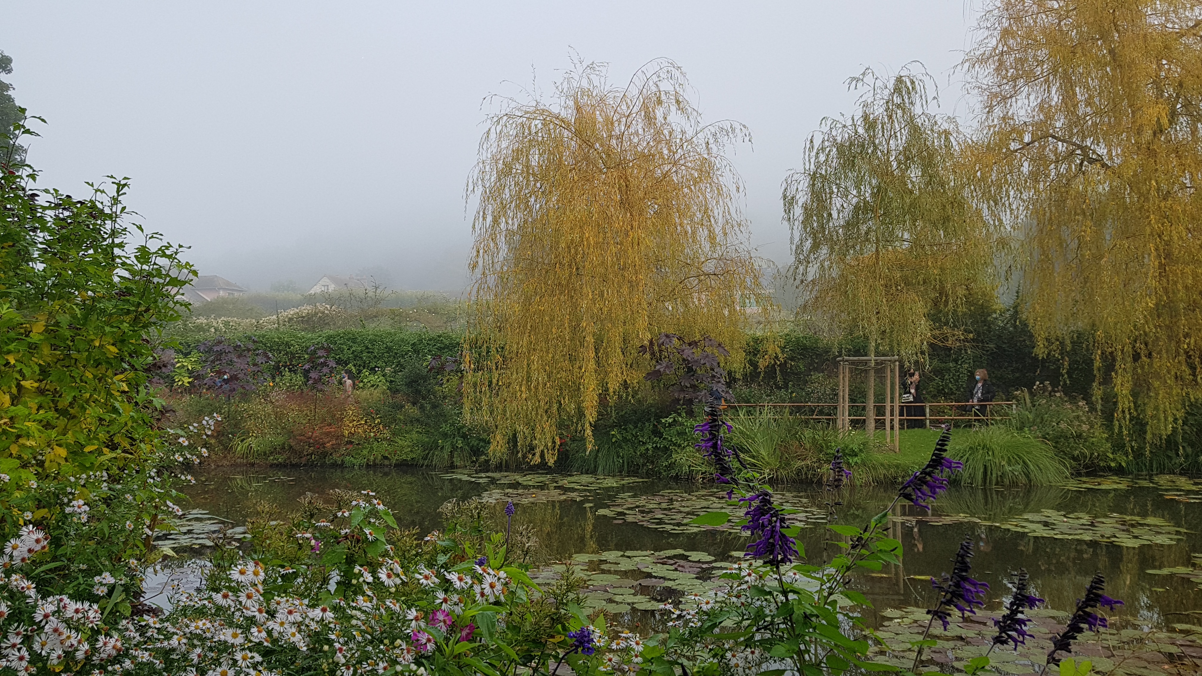 Photo n° 5 de l'avis de Patricia. fait le 10/10/2021 à 20:17