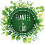 Plantes & CBD Châteauneuf-du-Faou
