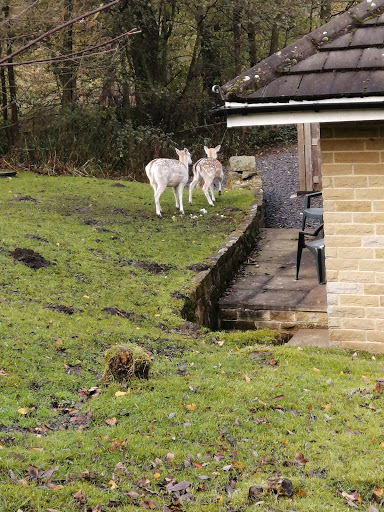 Bronte Caravan Park Yorkshire