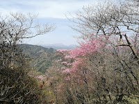 二上山女岳