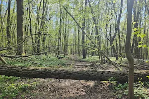 Nature Reserve Stasin image