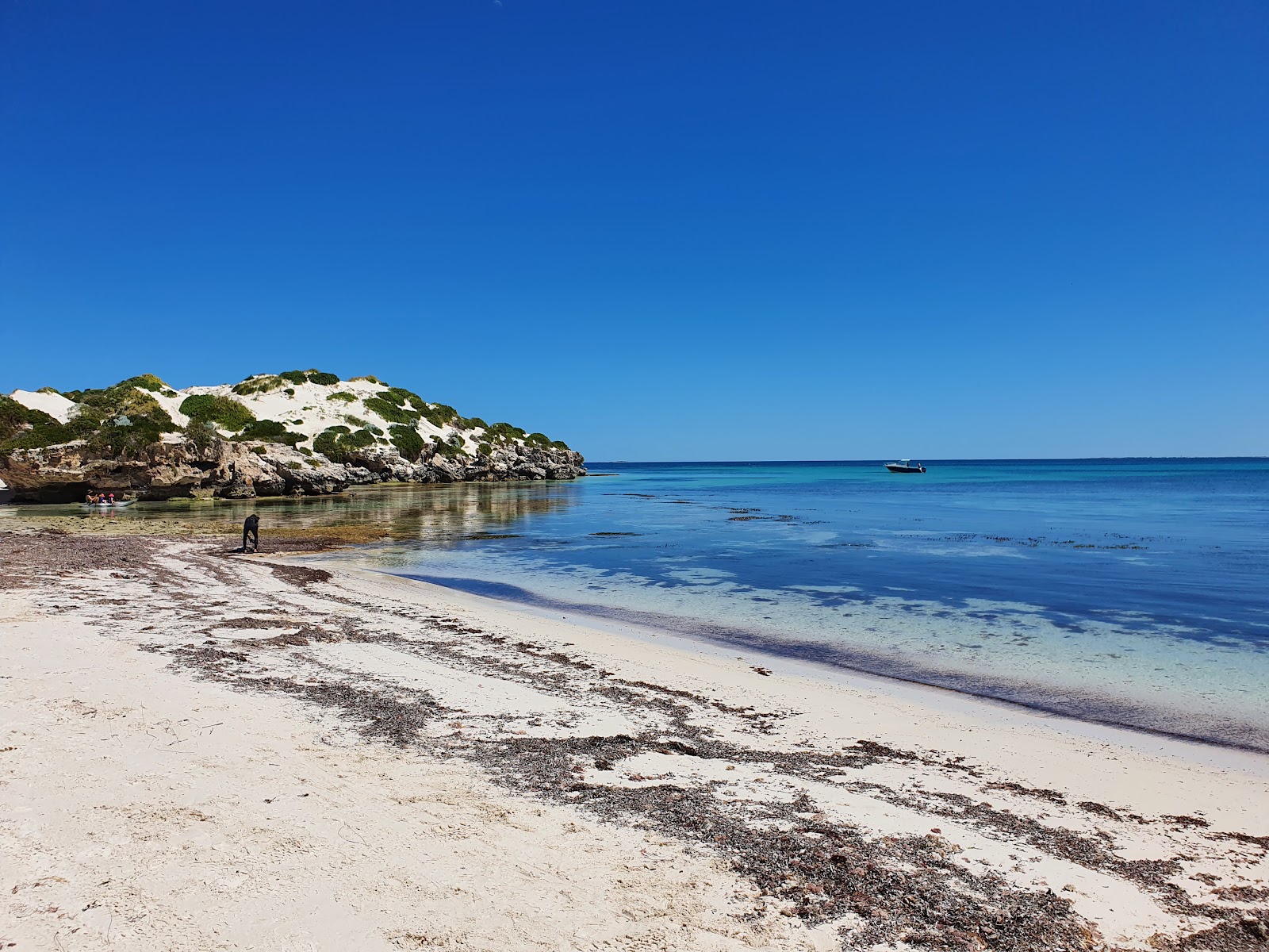 Zdjęcie Sandy Cape Beach - popularne miejsce wśród znawców relaksu