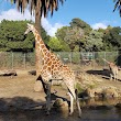 California Trail at Oakland Zoo