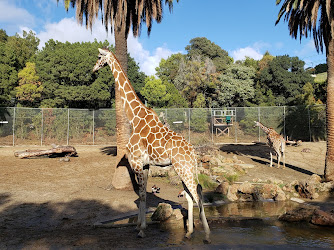 California Trail at Oakland Zoo