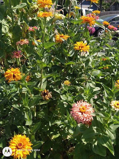 Thrift Store «Second Blessing Thrift Store Inc.», reviews and photos, 2323 Central Ave, Wichita, KS 67214, USA