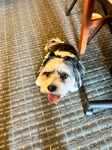 Auto Insurance Agency «State Farm: Matt Kelly», reviews and photos