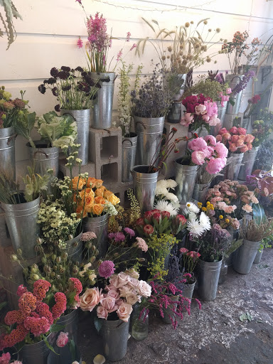 Florist «Ampersand», reviews and photos, 80 Albion St, San Francisco, CA 94103, USA