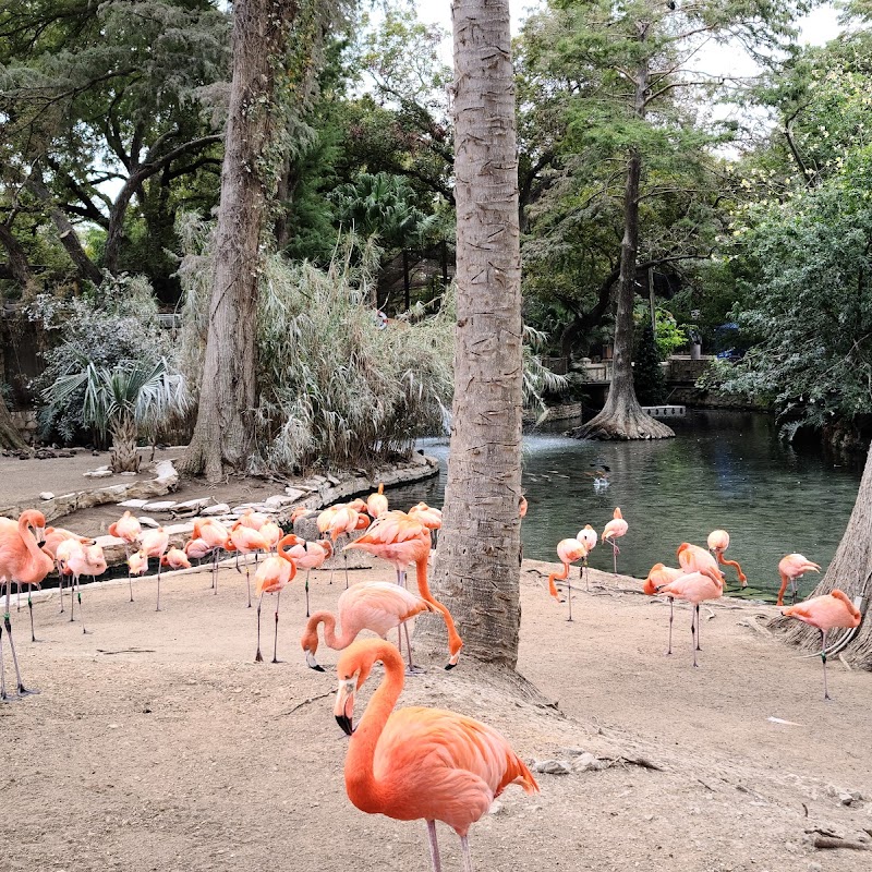 San Antonio Zoo