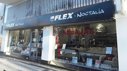 Flex Noctalia San Sebastian
