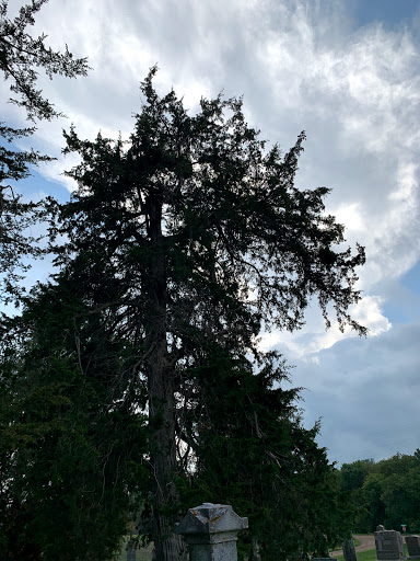 Mosque «Medina Community Center», reviews and photos, 3200 Mill St, Hamel, MN 55340, USA